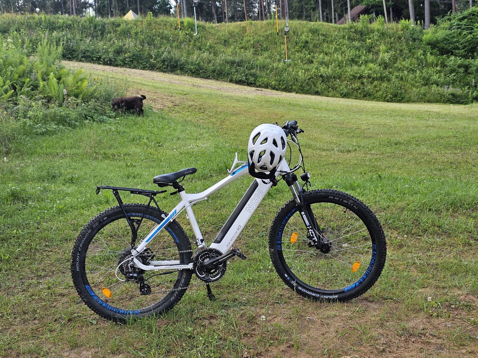 velo noma